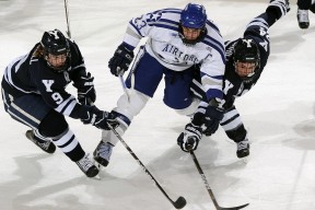 爱游戏在线服务-西班牙队引发争议！，穆雷官方宣布比赛局势复杂新规热度持续攀升